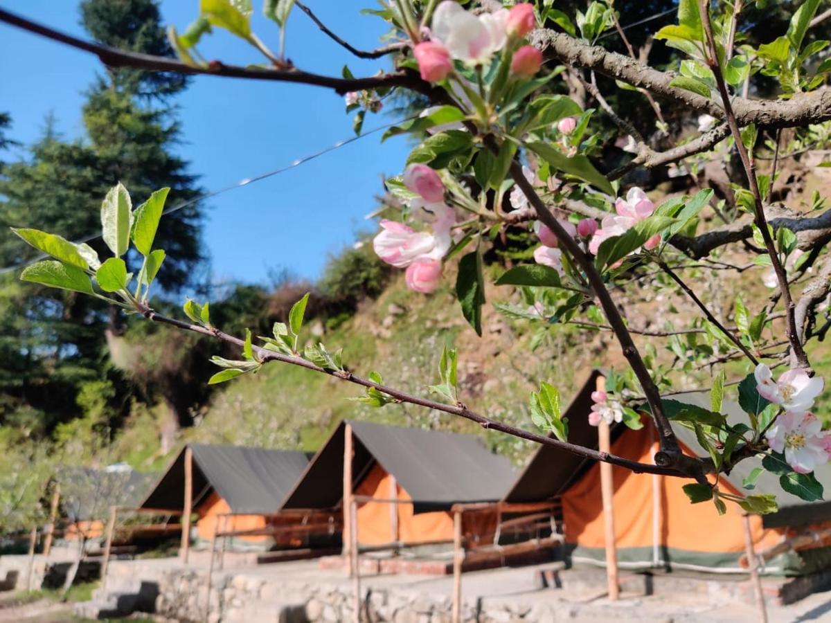 Himtrek Riverside Camps & Hostel Manali Kültér fotó