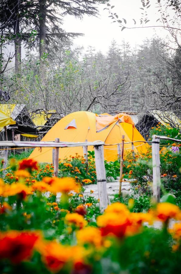 Himtrek Riverside Camps & Hostel Manali Kültér fotó