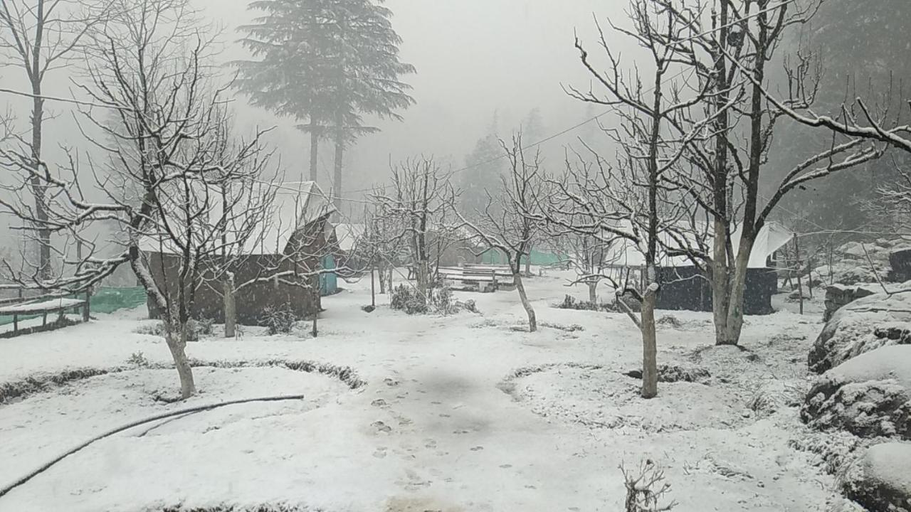 Himtrek Riverside Camps & Hostel Manali Kültér fotó